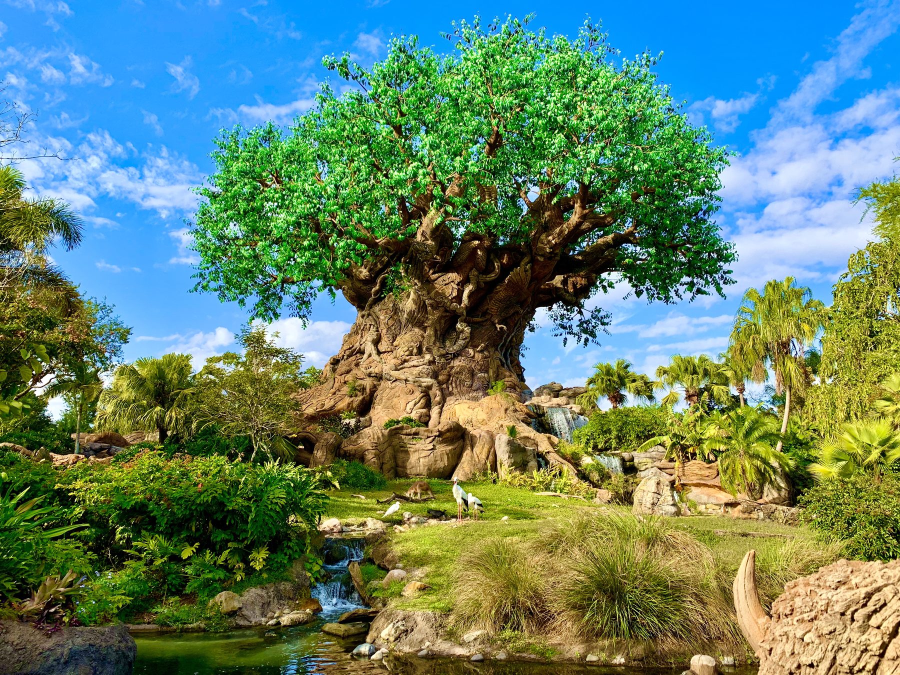 Árvore da Vida do Animal Kingdom sob céu azul com nuvens, cercada de vegetação tropical, com aves brancas no gramado à frente