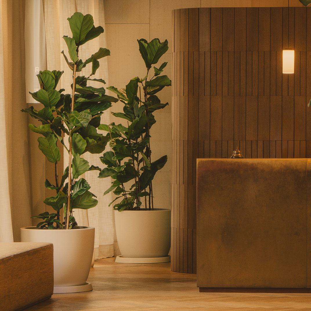Canto silencioso de lobby de hotel, com plantas, madeira ripada e balcão de latão sob luz quente